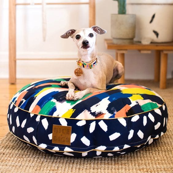 House Design Tips for People Owning a Dog Happho